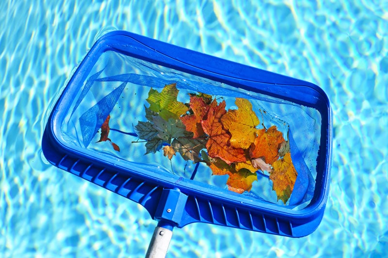 collecting leaves from pool | How to Enjoy Your Pool More This Season
