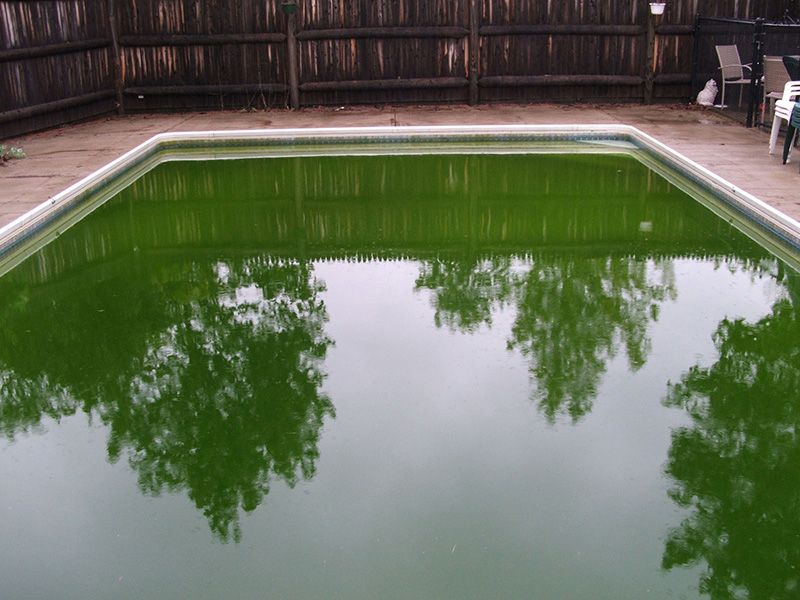 green pool problems