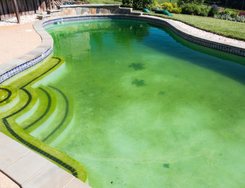How to Get Rid of Green Water in Your Swimming Pool