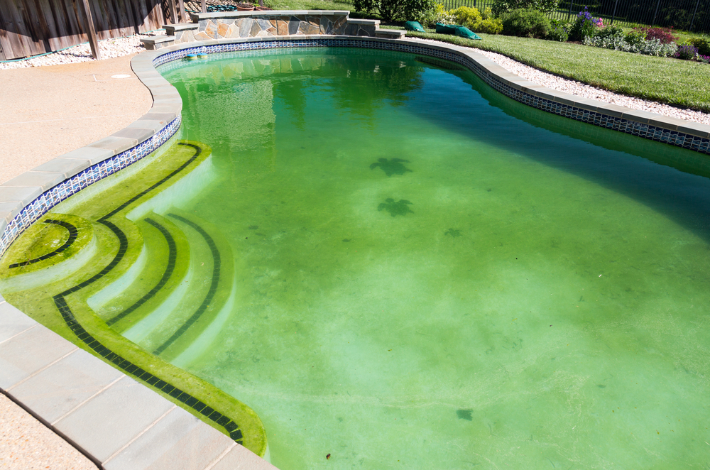 How to Get Rid of Green Water in Your Swimming Pool