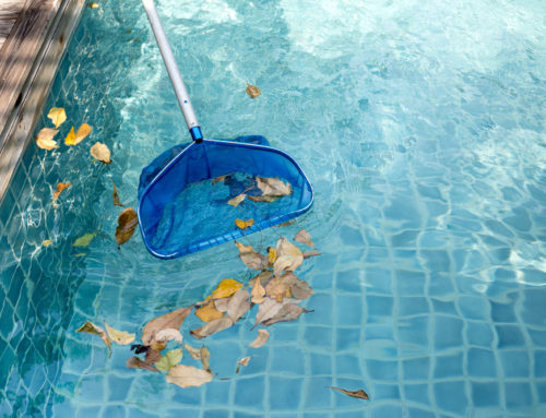 A Basic Maintenance and Cleaning Guide for Your Swimming Pool