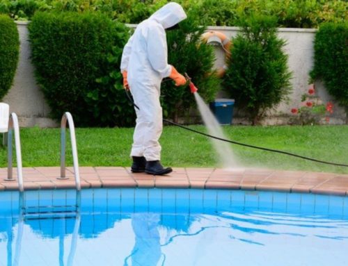 Why Should You Hire a Professional Pool Cleaning Service?