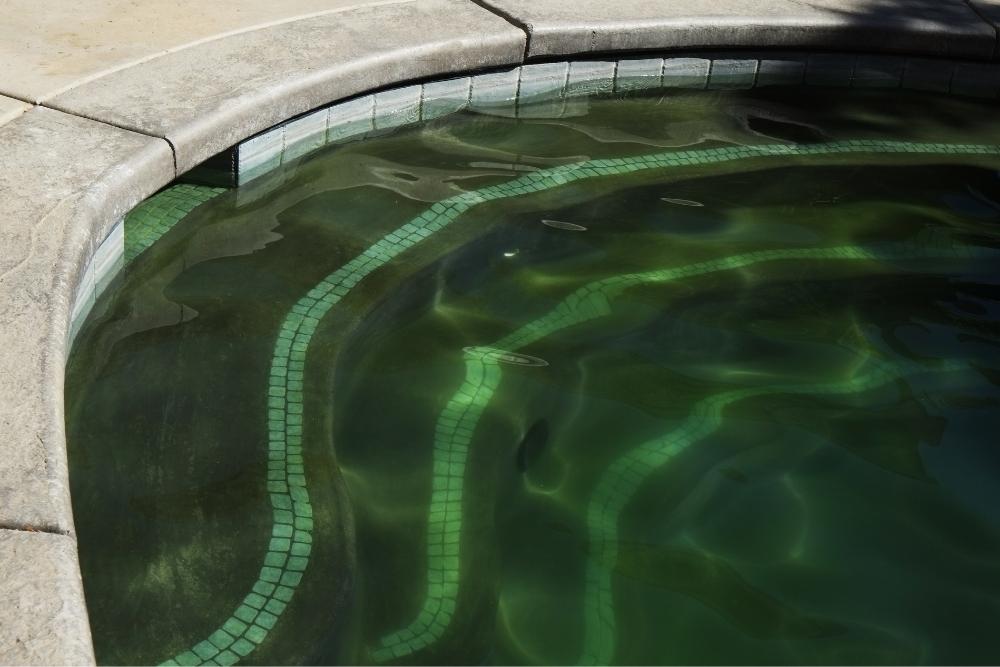 Pool algae prevention