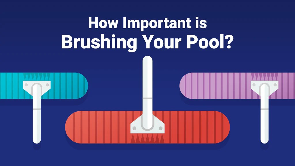 How important is brushing your pool - Sparkling Clear Pool Service, McKinney TX - Sparkling Clear Pool Service LLC How important is brushing your pool, illustrated guide from Sparkling Clear Pool Service in Frisco and McKinney, TX