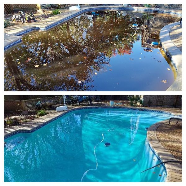 Debris buildup on a Fairview, TX pool surface