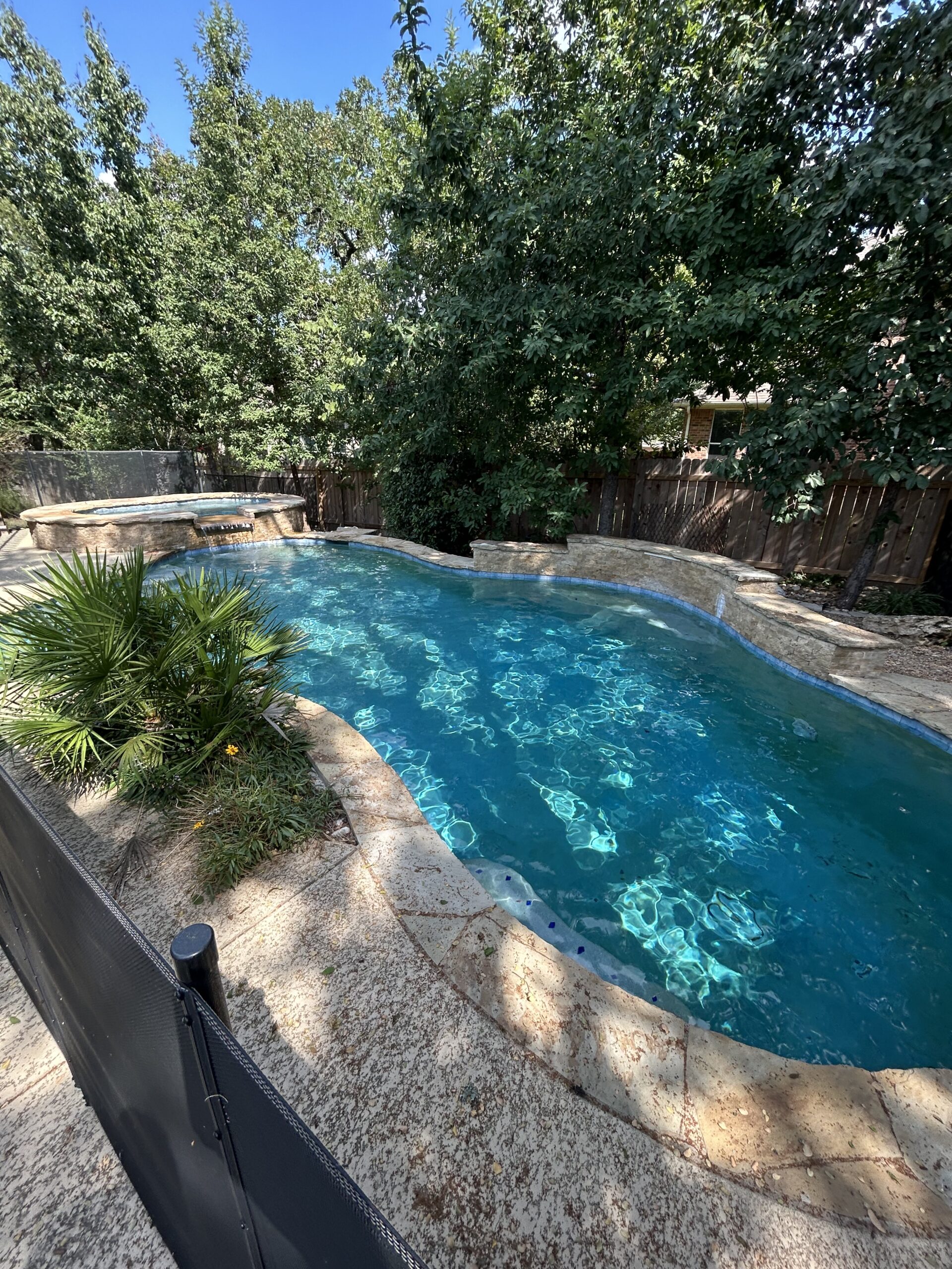 Backyard swimming pool with turquoise water, rounded stone coping, and surrounding greenery including trees and a wooden fence, sunny day.